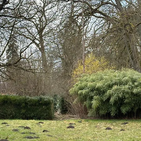 Homestay szállás Altes Gutshaus Schwiessel Prebberede